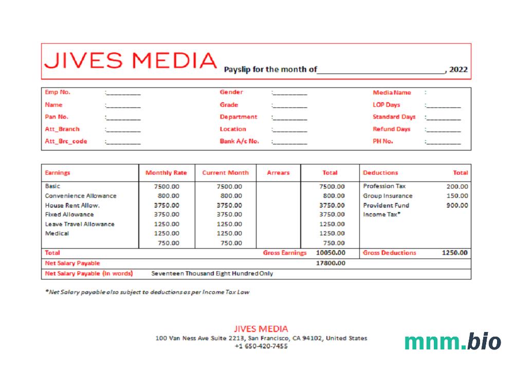 USA Jives Media advertising company pay stub